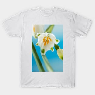 Leucojum aestivum  &#39;Gravetye Giant&#39;  AGM  Summer snowflake T-Shirt